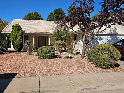 Overseeded lawn in St. George, UT