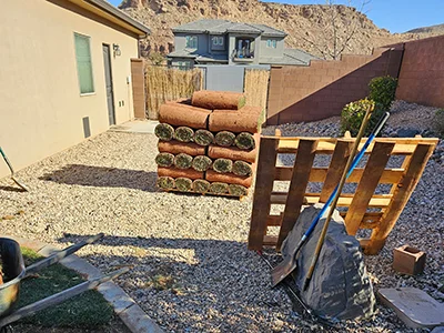 Palm tree trimming in St. George, UT
