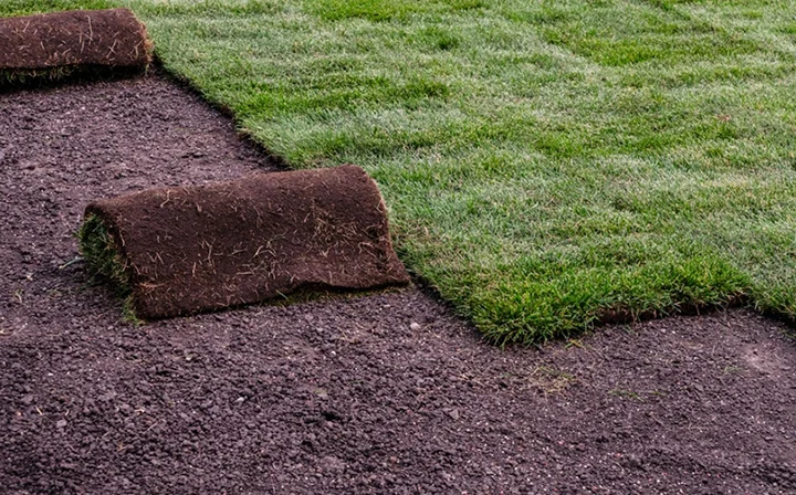 Sod and landscape removal in St. George, UT